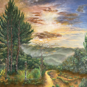 art by Nam Hoang collection II original oil painting