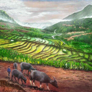 Fine art landscape print of terraced rice fields at dusk in Sa Pa, Vietnam